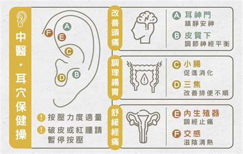 耳朵貼耳|改善頭痛、經痛、腸胃不適 中醫師6耳穴位教你保健。